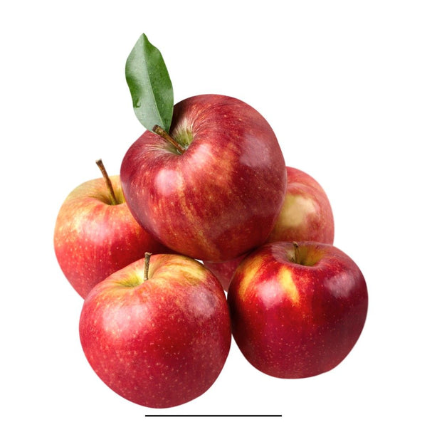 New Zealand Gala Apple