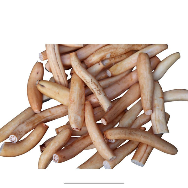 Lotus Stem (Kamal Kakdi)