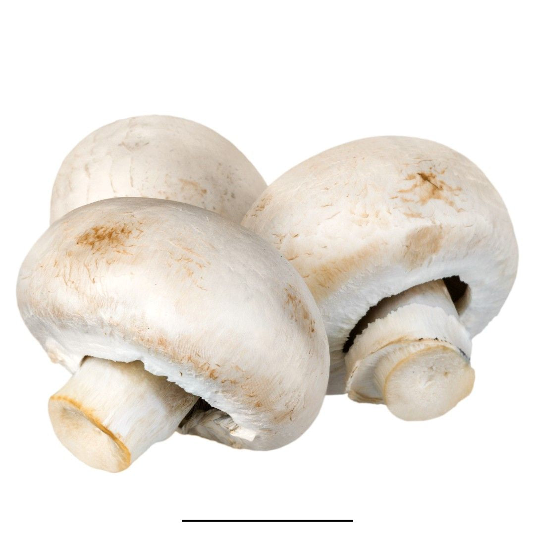 Mushroom