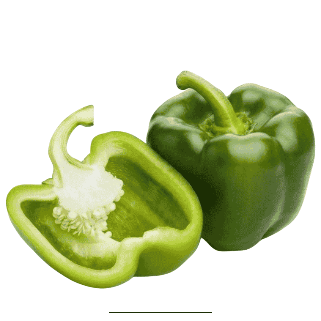 Capsicum
