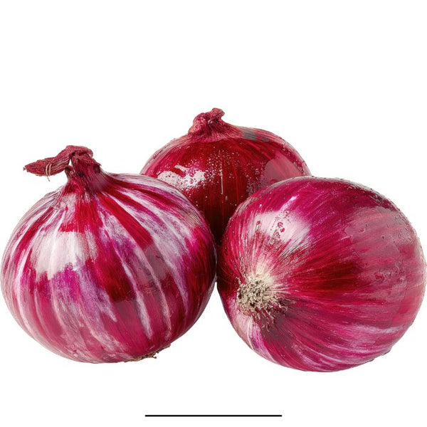 Onion