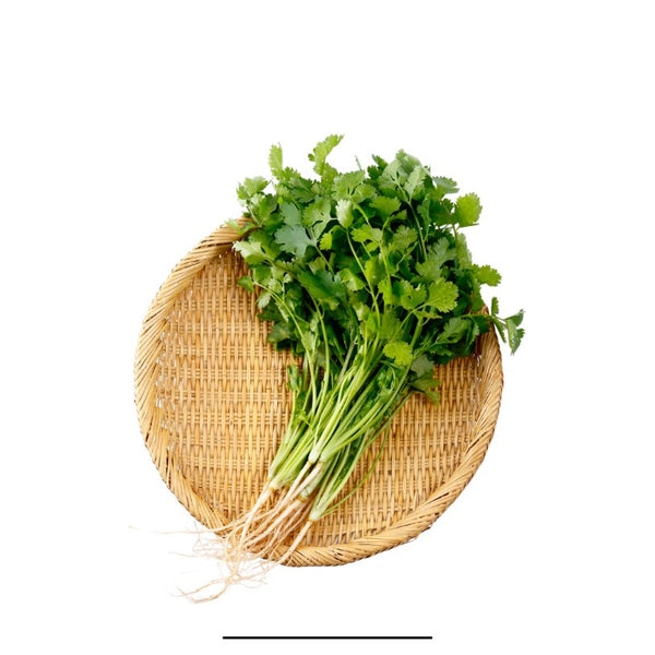 Coriander Leaves